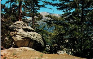 Peak Mountain Pines Postcard VTG UNP Columbia Vintage Unused Chrome 