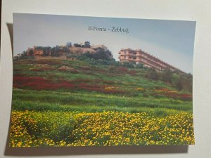 UNUSED PICTURE POSTCARD - GOZO MALTA  PONTA ZEBBUG  (KK1858)