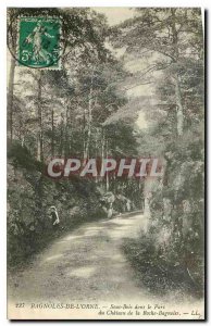 Old Postcard Bagnoles de l'Orne Sous Bois in the Parc du Chateau de la Roche ...