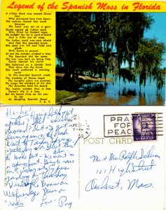 legend of the Spanish Moss in Florida (23609