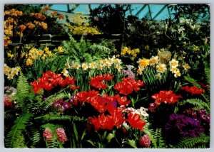 Bloedel Conservatory, Queen Elizabeth Park, Vancouver BC, 1973 Chrome Postcard