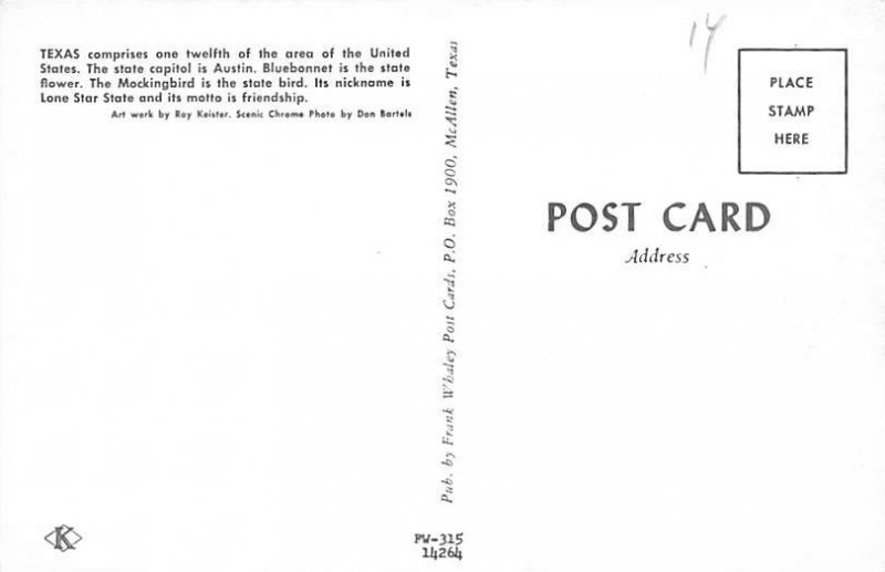 Pecan Trees State Flag, Texas TX Postcard