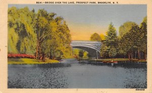 Bridge Prospect Lake - Brooklyn, New York NY