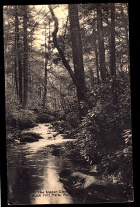 Pennsylvania In the Upper Glen Buck Hill Falls pm1907 ~ DB