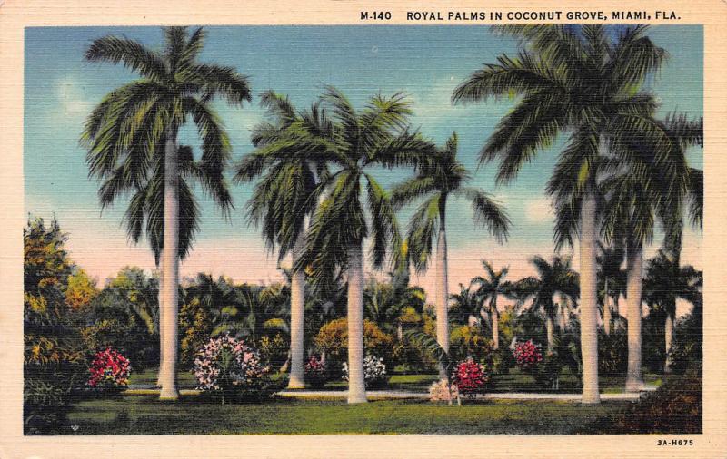 Royal Palms in Coconut Grove, Miami, Florida, Early Linen Postcard, unused