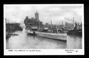 F2846 - Paddle Steamer - Gwalia - at Cardiff Docks - Pamlin postcard