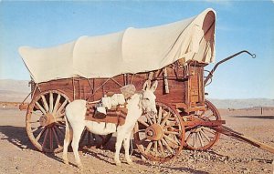 Old West Stagecoach Donkey Unused 