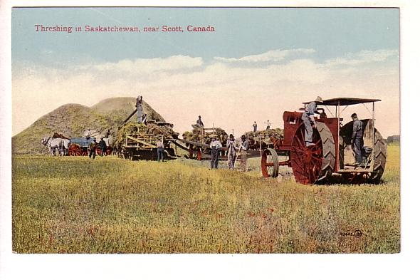 Threshing, near Scott, Saskatchewan, 