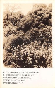 Washington DC Mt St Alban Cathedral Bishop's Garden Real Photo Postcard AA59982