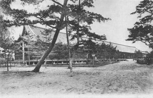 Vintage RPPC Kyoto Japan Sanjusangendo Temple Pine Trees Postcard