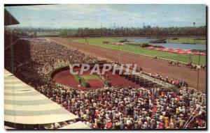 Postcard Modern Hollywood Park Racetrack Inglewood Cal Horses