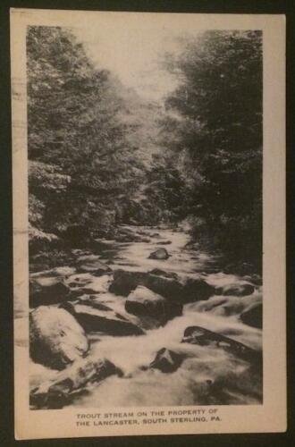 Trout Stream on Lancaster South Sterling PA 1937 Artvue Post Card Co