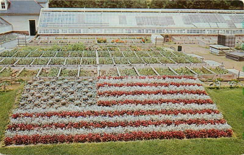 Elizabeth Park Rose Gardens Hartford Conneticut United States Flag US Postcard