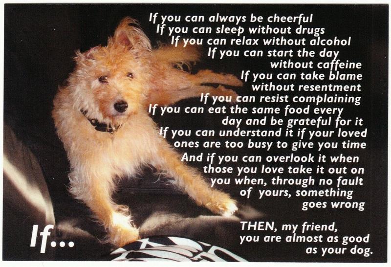 If You Can Always Be Cheerful Dog Quote Postcard