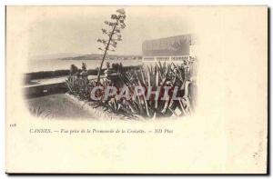 Cannes Old Postcard View from the promenade of the Croisette