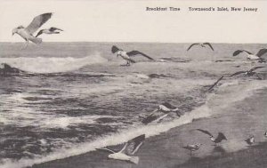 New Jersey Townsends Inlet Breakfast Time Albertype