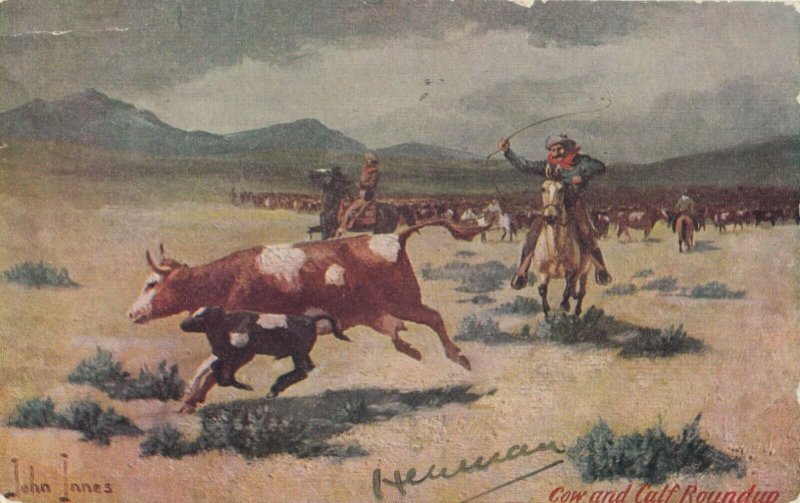 John INNES ; Cow & Calf Roundup , 1907