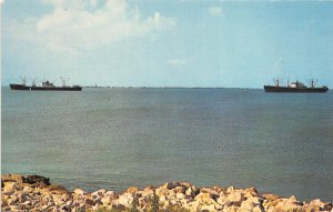 Galveston Texas 1960s Postcard Ships At Anchor In Galveston Bay