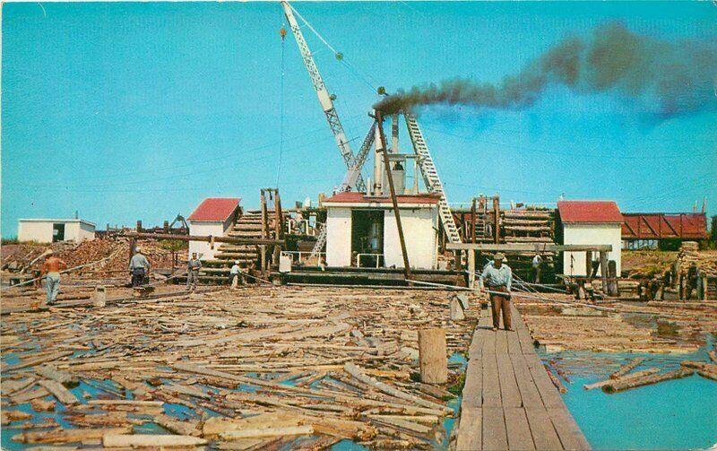 Ashland Wisconsin 1950s Logging Lumber Industry Pulpwood Hoist Postcard 3373