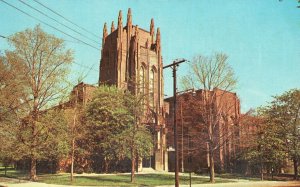 Vintage Postcard Peaboy Museum Of Natural History New Haven, Connecticut CT