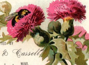 1880s Hardaway & J. D. Cassell's Quack Med.  Bumblebee Thistle Vicksburg, MS P4