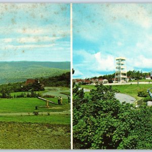 8 Oversized c1970s Florida, MA Whitcomb Summit Superb 4 State View Postcard 1T