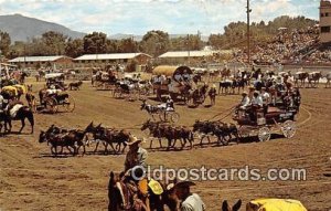 Mule Capital of the World Bishop, CA Unused 