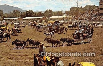 Mule Capital of the World Bishop, CA Unused 