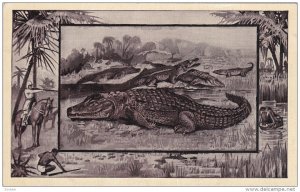 2-Views of Hunters, Live Crocodiles, Aiming from horseback at Hippopotamus, 1...