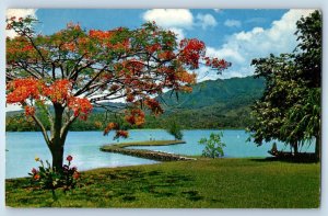 Tahiti French Polynesia Postcard Isthmus of Taravao Port Phaeton 1965