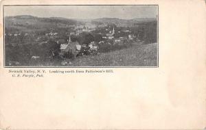 Newark Valley New York Looking North from Pattersons Hill Antique PC J46033