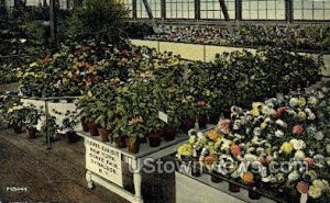 NY State Fair Flower Exhibit - Syracuse, New York NY  