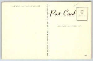 Cape Cod  Dock Boat Scene  Massachusetts   Postcard