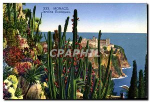 Old Postcard Monaco Exotic Gardens
