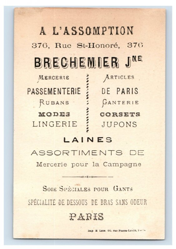 1880s A. L'assomption Paris Department Store Lovely Lady #3 F149