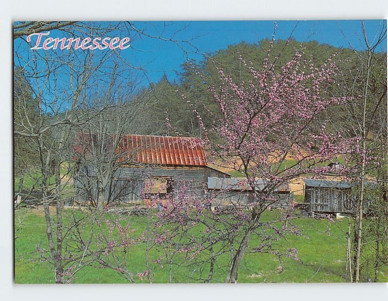 Postcard Tennessee