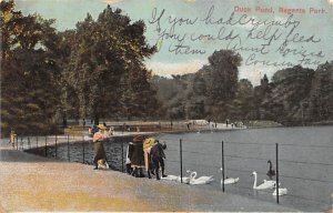 Duck Pond, Regents Park 1907 Missing Stamp missing top right corner, writing ...