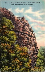 Cooper's Back State Forest West Virginia Postcard Henel's Antiques NY