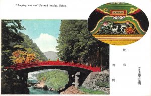 Nikko, Japan   SLEEPING CAT & SACRED BRIDGE    Vintage Postcard