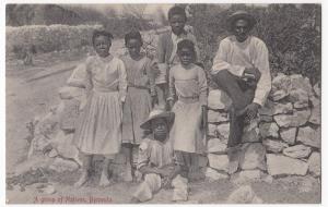 Bermuda; A Group of Natives PPC By AE Bourne, Unposted, c 1910's