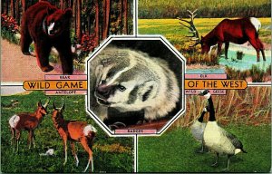 Wild Game of the West Bear Badger Elk Geese Multiview Linen Postcard UNP Unused