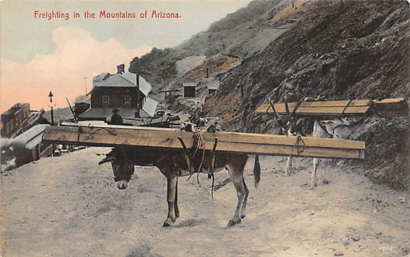 Freighting in the Mountains Donkey Unused 