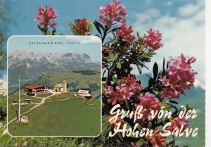 BF30800 hohe salve gipfelrestaurant hopfgarten tirol  austria   front/back image