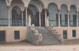 Tunis Tunisia Palais Du Bardo Cour Des Lyons Old Antique Postcard