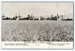 Wilson Creek Washington WA Postcard Heading Wheat In Grant County Farming