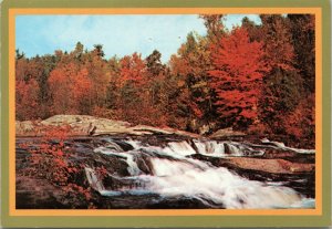 postcard  Fall Colors Along a Mountai Stream in Western North Carolina