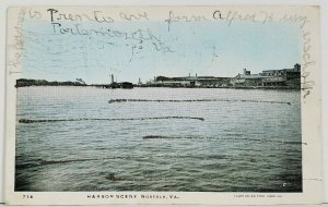 Virgina Harbor Scene Norfolk Va, Glitter Accents c1906 udb Postcard M14