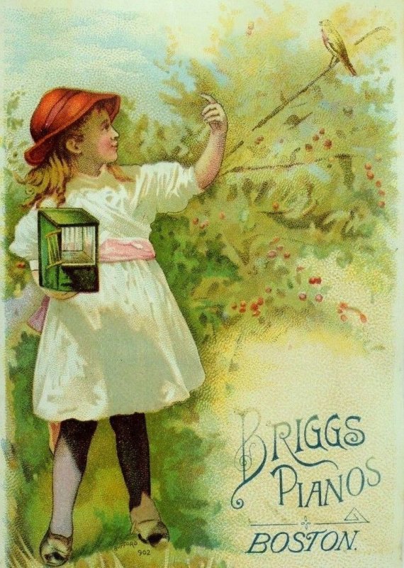 1880's-90's Briggs Pianos Adorable Girl Birdcage Wild-Bird Trees P86