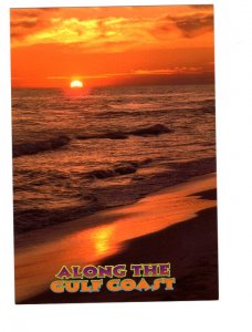 Along The Gulf Coast, Florida, Night, Large 5 X 7 Postcard