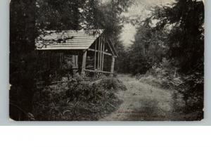 Littlejohn Island ME Lovers' Retreat c1910 Postcard